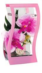 pink edge, with  orchids