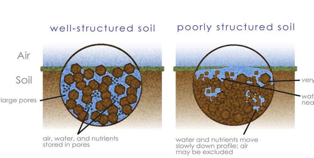 Columnar/prismatic (moderate permeability) 5. Platey (low permeability) 6. Massive (low permeability) 1. 2. 3. 4. 5. 6. Why is soil structure so important?