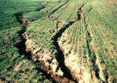 What are the indicators of damaged soil structure? Root restriction Compacted layers Surface crusting Erosion Crop performance What are the benefits of understanding and interpreting soil structure?