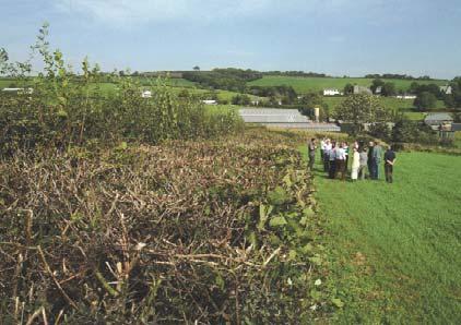 In particular, this document focuses on the practicalities and environmental benefits of hedge cutting every two or three years, rather than every year. Q 1.