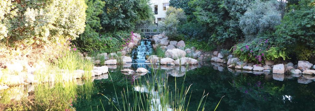 Themed Gardens Al Barari s landscape boasts a large extent of land specifically dedicated to common areas, waterways, playgrounds and botanical gardens.