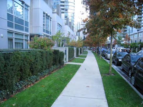 Landscaping - Street Trees and Vegetation Street trees and vegetation are extremely important in making our city centres liveable spaces.