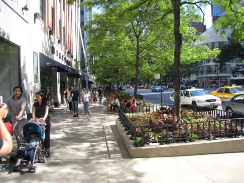 sinks; preventing soil erosion; acting as wind breaks; and providing shade. Guidelines a) Street trees should be provided on both sides of the road in the public right-of-way.