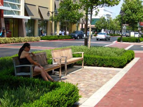 g) Street trees should be of a species that would provide a large canopy and shade over sidewalks in order to reduce heat island effect and enhance pedestrian comfort and safety.