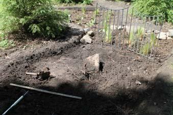 debris near the ground surface (photo A) in soil containing a large amount of