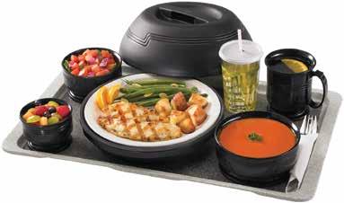 Temperature Maintenance and Traytop Meal Delivery Ware The