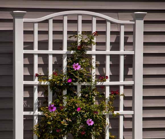 5 Posts A thoughtfully styled trellis to enhance your