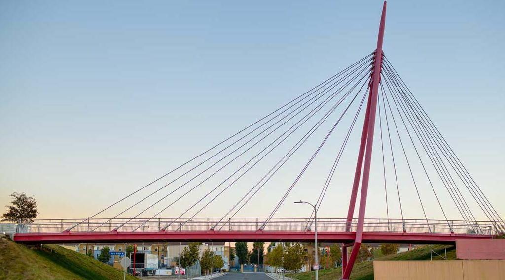 Exploring Together: Pedestrian Bridge Concepts Cable-Stay