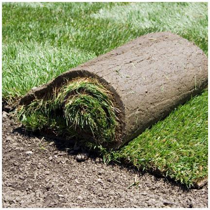 laying sod Can be done anytime during the growing season Make sure that you lay the sod within 48 hours from delivery Otherwise it will