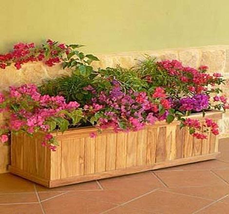 WINDOW BOXES Window Box (free standing) Window Box (mounted) 36 L x 6 W x 6 H 36 L x 8 W x 8 H Our versatile window boxes offer terrific value and are designed not to require liners.