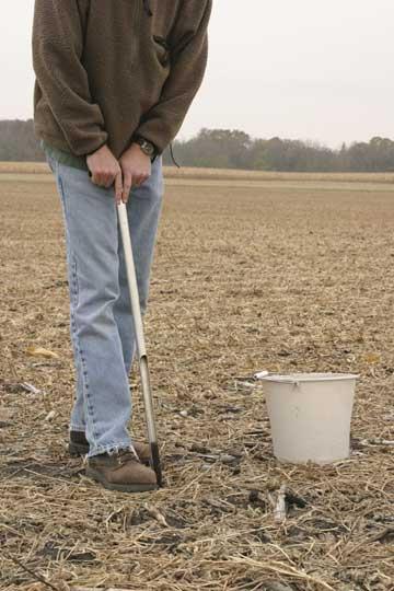 soil sample of field take down to tillage depth Test