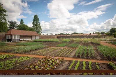 Hampton Court Kitchen Garden The 6 acre kitchen garden fed the Queen and court, plus all other London royal residences The