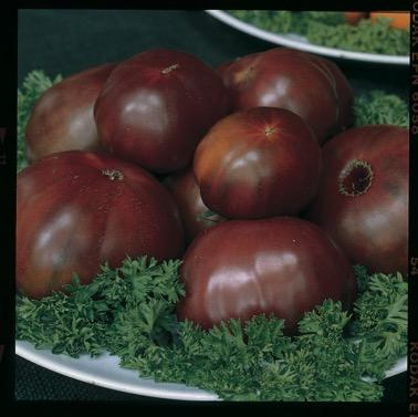 Tomato Black Russian A rich, complex flavour that needs to be tried for real!