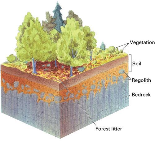 Soil is a mixture of The Nature of Soil 1) inorganic material derived from regolith weathered from bedrock; 2) organics
