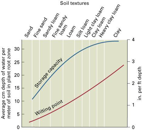 Soil water storage capacity and wilting point according to soil texture The Soil Water