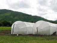 A poly-covered greenhouse with