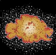 5 Elements of a Flash Fire Combustible dust Small particle size