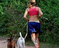 running, dog exercise 