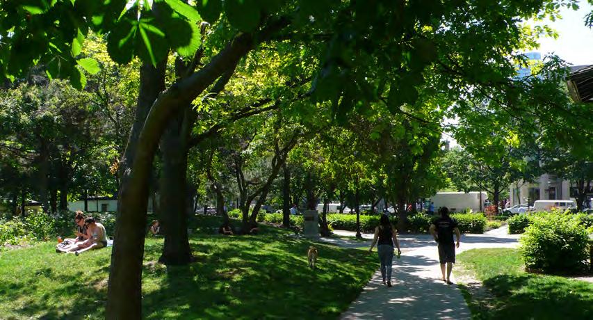 76 - Policy Directions Urban Forest as Infrastructure Approximately 10.2 million trees grace our parks, ravines and natural areas, line our streets and distinguish our neighbourhoods.