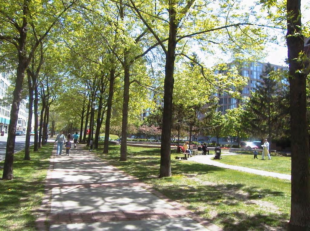 Policy Directions - 91 Access to Sunlight Toronto is a four season city and as such, providing access to sunlight and limiting shadows, especially on our public realm ensures thermal comfort in these