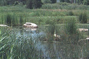 Types: Shallow Marsh System, Basin/Wetland System, Extended Detention Wetland, Pocket Wetland F. X. Browne, Inc., Lansdale, PA http://www.fxbrowne.