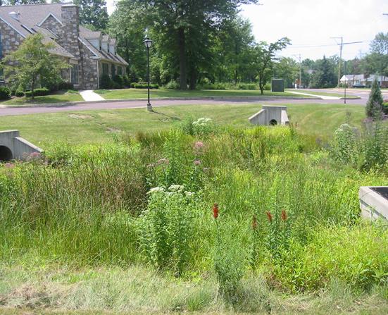 htm Retrieved June 0, 2008 BENEFITS Overall Treats stormwater runoff Reduces peak stormwater flows Reduces stormwater runoff volume and flow rate Provides local flood control Improves quality of