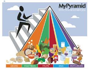 Daily physical activity, balance of how much to choose from each food group, moderation in the amounts and types of foods and variety from all food groups are the essential foundation to a healthy
