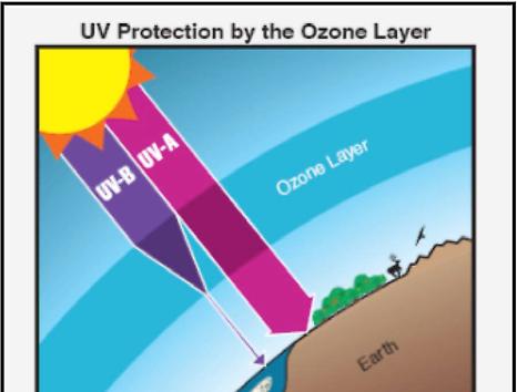 Ozone Hole: Reason for