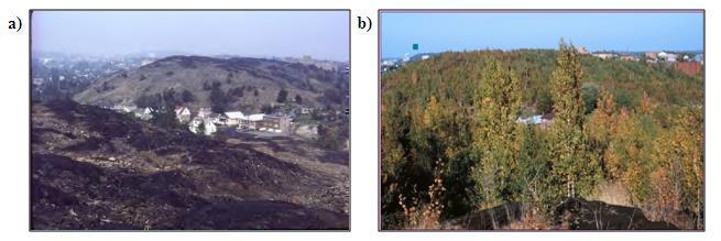 Sudbury: before and after 11 A metal contaminated site in Sudbury, Ontario, Canada; a) before remediation and b) after