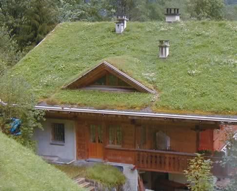 Green Roofs (definition) part or all of the roof