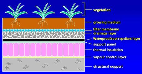 of soil that sits on a membrane directly on the roof