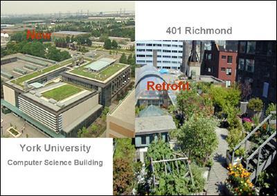 Green Roofs examples from Toronto concept to replace the vegetated footprint lost when the