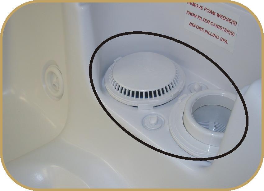 If your spa has two filters, like those shown in the picture on the left, put the hose in the UltraPure filter canister