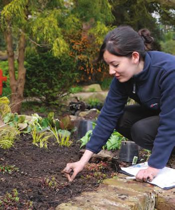 HORTICULTURE ADVANCED DIPLOMA (LEVEL 3) Starts: September Duration: 1 year full-time Available at: Enfield and Gunnersbury Park This programme has been designed for you if you have discovered a