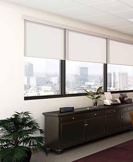 Energi TriPak application Private office Providing personal lighting control in a private office application helps improve occupant comfort.