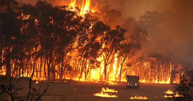 STUDENT ASSIGNMENT My bushfire project Are you in a bushfire prone region? Research the bushfire history in your region.