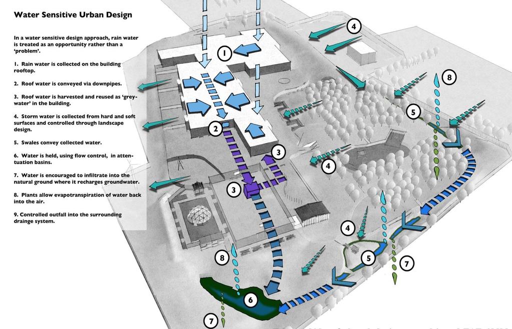 Figure 2 Schematic of water sensitive urban design for Forest Way School Very little underground drainage is used.