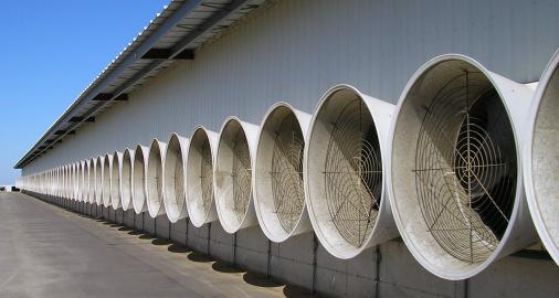Dairy Ventilating Systems Natural ventilation Without mixing fans With