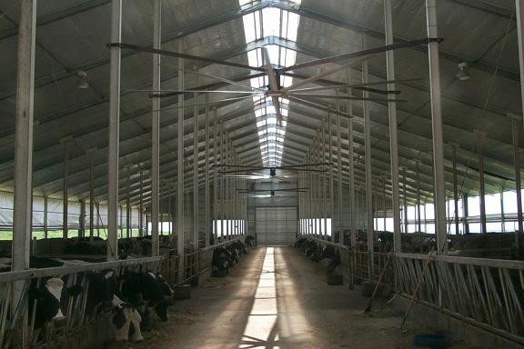 4.3 kw per hour (24ft) Compared to HS fans Mechanically Ventilated Dairy
