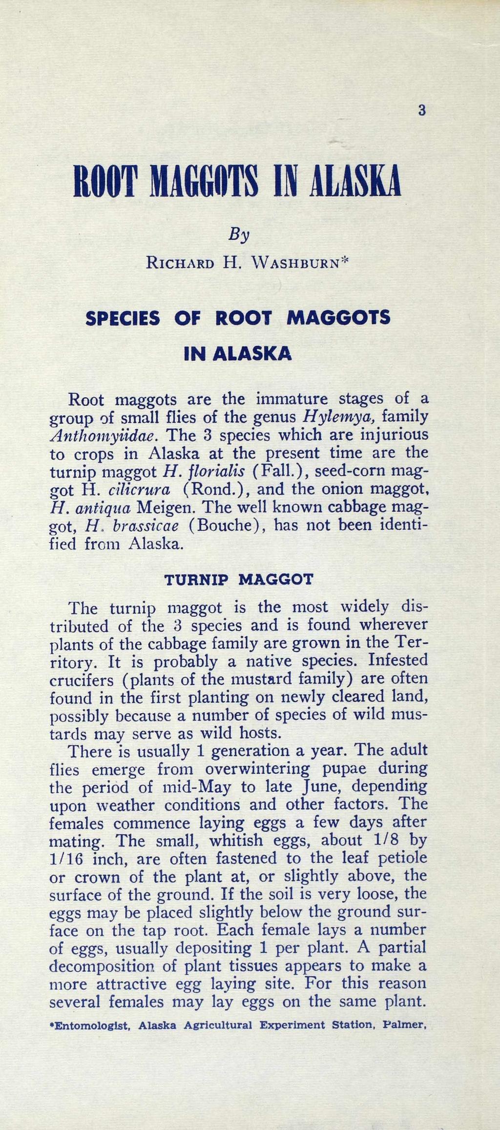 ROOT MAGGOTS IN ALASKA By R ic h a r d H. W a s h b u r n * SPECIES OF ROOT MAGGOTS IN ALASKA Root maggots are the immature stages of a group of small flies of the genus Hylemya, family Anthomyiidae.