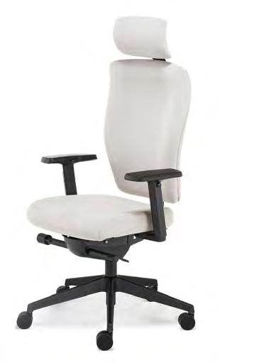 Ergonomic feature rich, identity is an every day posture solution.