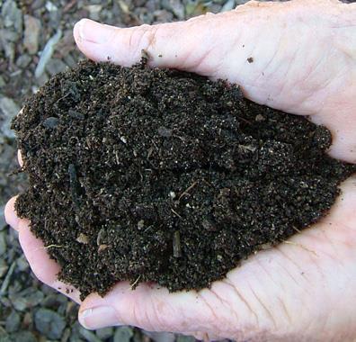 Soil A thin layer of material on the Earth's surface in which plants have their roots.