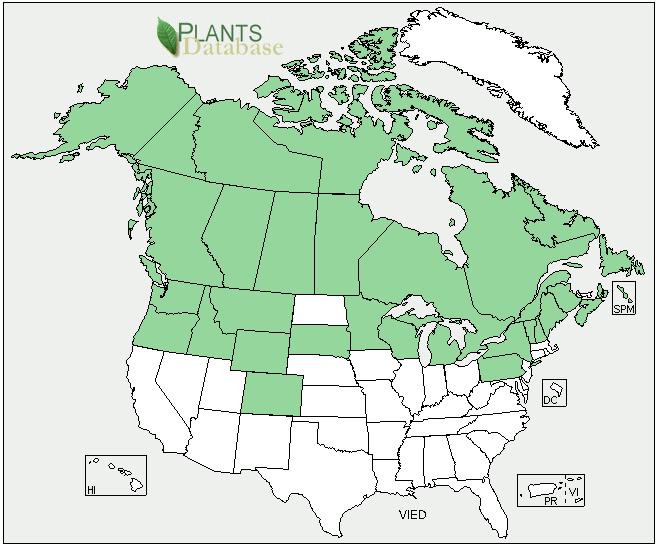 Plant Propagation Protocol for Viburnum edule ESRM 412 Native Plant Production North America Distribution Map Washington State Distribution Map Source: USDA PLANTS Database 15 TAXONOMY Family Names