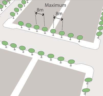 Figure 52: Street Trees Figure 53: Street Lighting Example STREET TREES Appropriate tree species, spaced at 8 metres, enhance the quality of a station area s public boulevards.