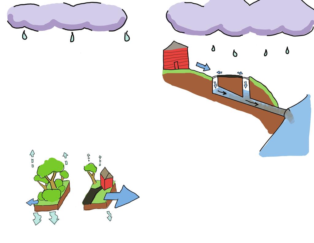 What is Stormwater? Why should you care about Stormwater Management? Stormwater is the water that runs off the land after precipitation, either rain or snowmelt.
