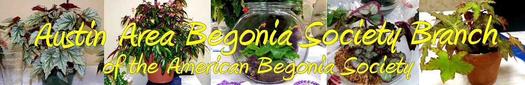 April 2-8 Begonias: Très Bien New Orleans, Louisiana ABS/SWR Convention and GetTogether Airport Hilton Hotel 901 Airline Drive Kenner, LA 70062-6922 JACKIE JOHNSON'S PROGRAM ABOUT PLANT NUTRITION