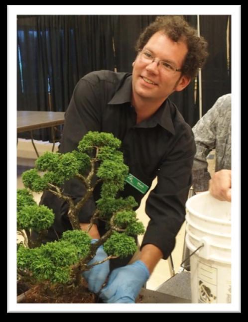 slow-growing species for bonsai, yet almost unheard of
