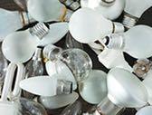 Over 80 bulbs (5968