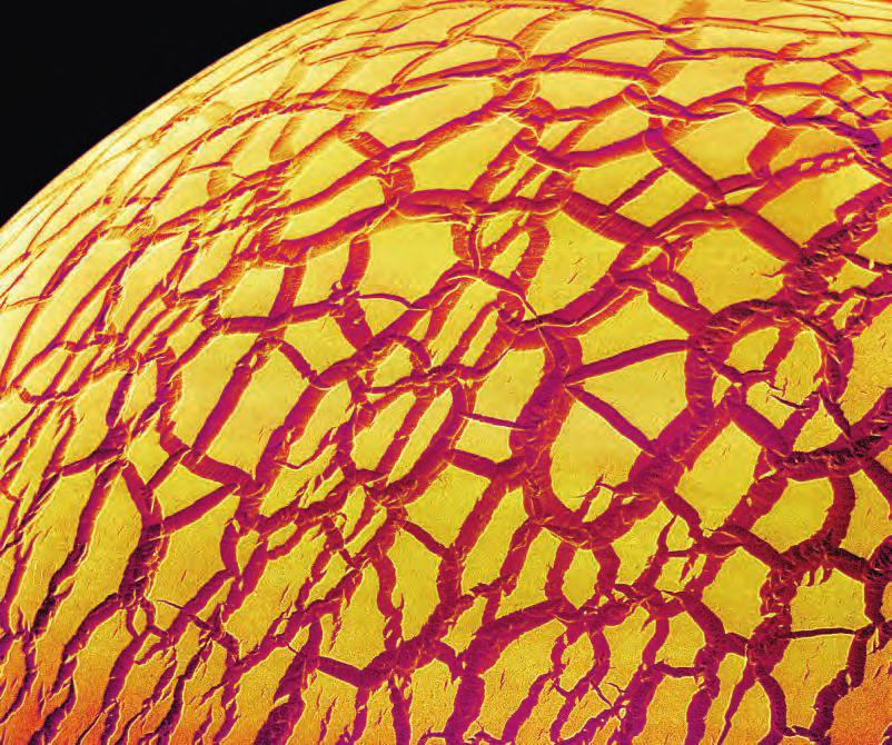 Cover image: SUSUMU NISHINAGA/ SCIENCE PHOTO LIBRARY Dried glue droplet. Coloured scanning electron micrograph (SEM) of the cracked surface of a dried droplet of glue. Magnification unknown.