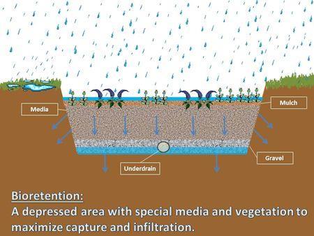 systems are depressed areas that capture and treat runoff.